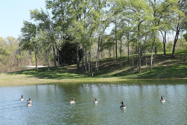 view of water feature