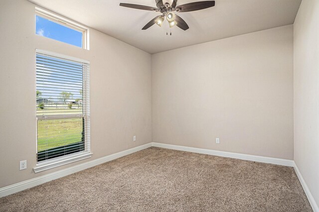 unfurnished room featuring ceiling fan and carpet floors