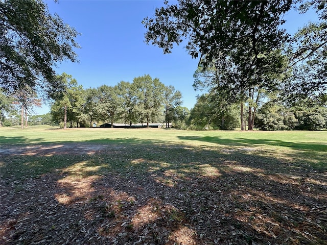 TBD Holly Trail, Holly Lake Ranch TX, 75765 land for sale