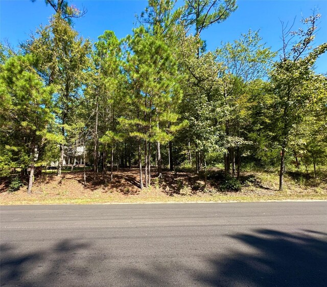 Listing photo 3 for TBD Holly Trail, Holly Lake Ranch TX 75765