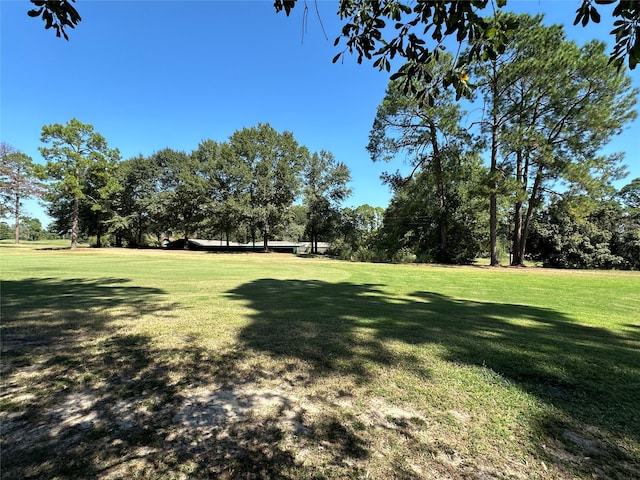 Listing photo 2 for TBD Holly Trail, Holly Lake Ranch TX 75765