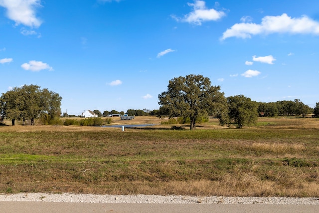 125 Sandy Ct, Alvord, TX 76225
