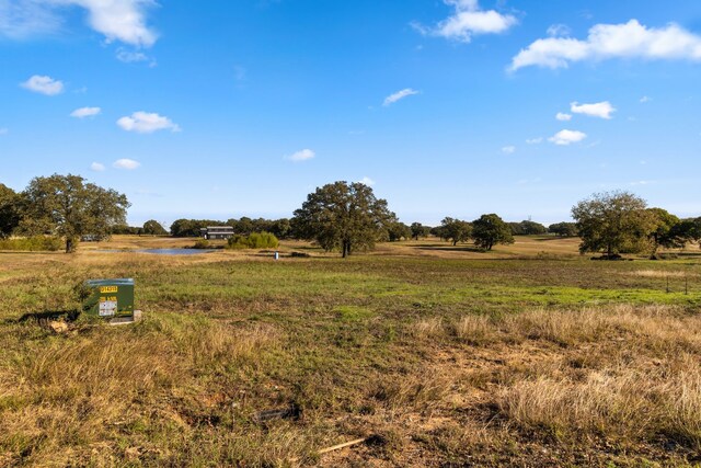 125 Sandy Ct, Alvord, TX 76225