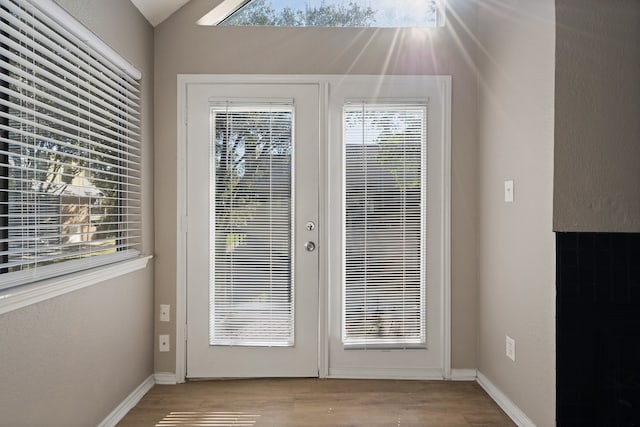 doorway with light hardwood / wood-style floors and a wealth of natural light