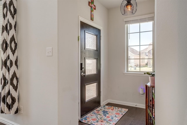 foyer featuring dark hardwood / wood-style floors and a healthy amount of sunlight