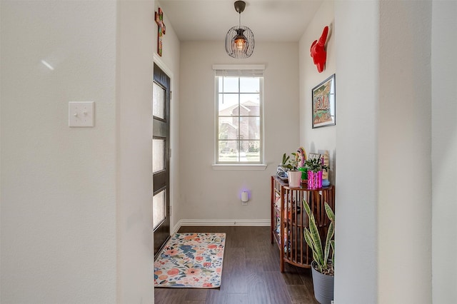 entryway featuring dark hardwood / wood-style flooring