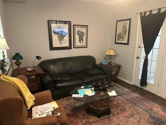 living room featuring crown molding and dark wood-type flooring