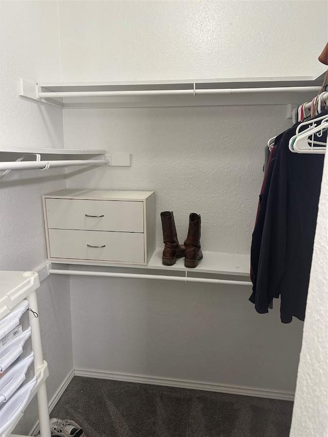 walk in closet with carpet flooring