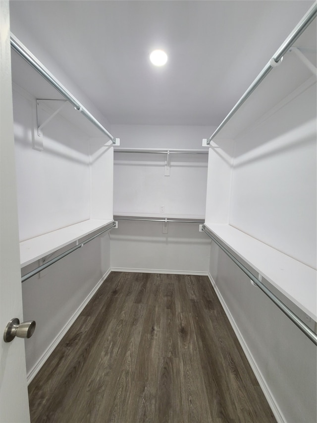 spacious closet with dark hardwood / wood-style flooring