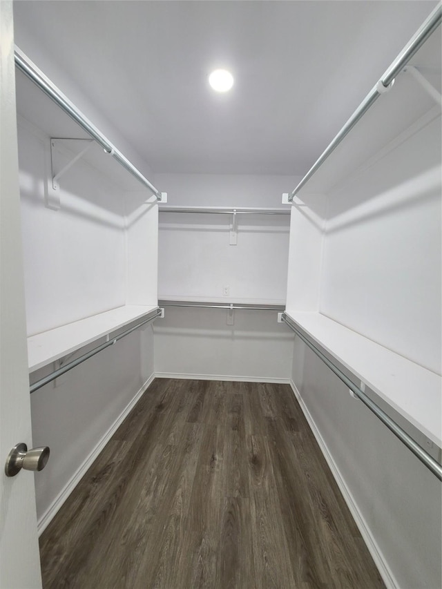 spacious closet with dark hardwood / wood-style floors