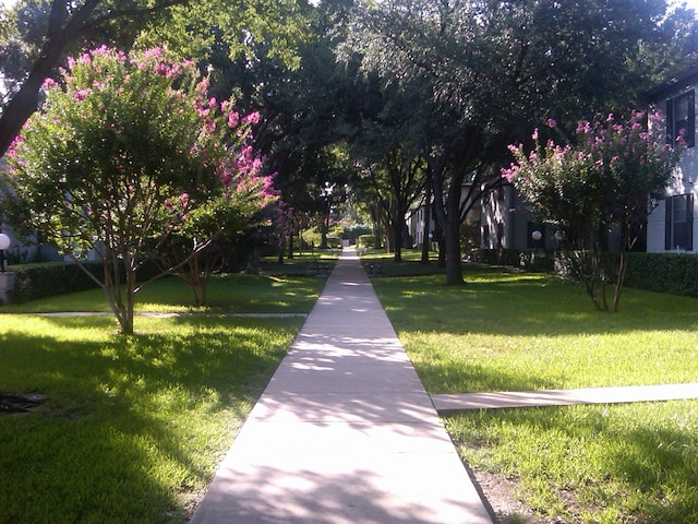 view of home's community with a yard