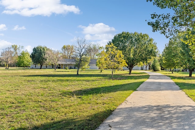 surrounding community featuring a yard