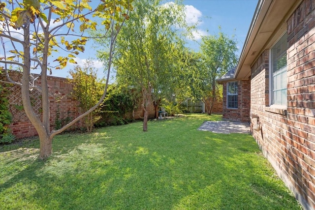 view of yard with a patio