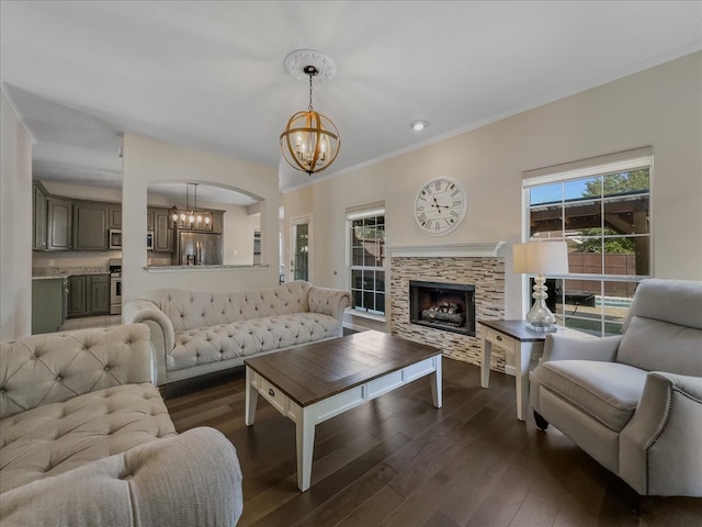 living room featuring a healthy amount of sunlight, dark hardwood / wood-style flooring, a stone fireplace, and an inviting chandelier