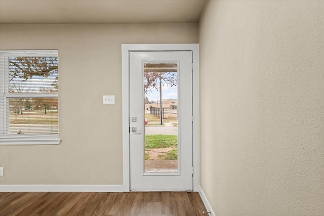 entryway with hardwood / wood-style flooring