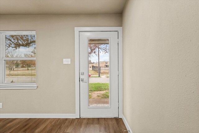 entryway with hardwood / wood-style flooring