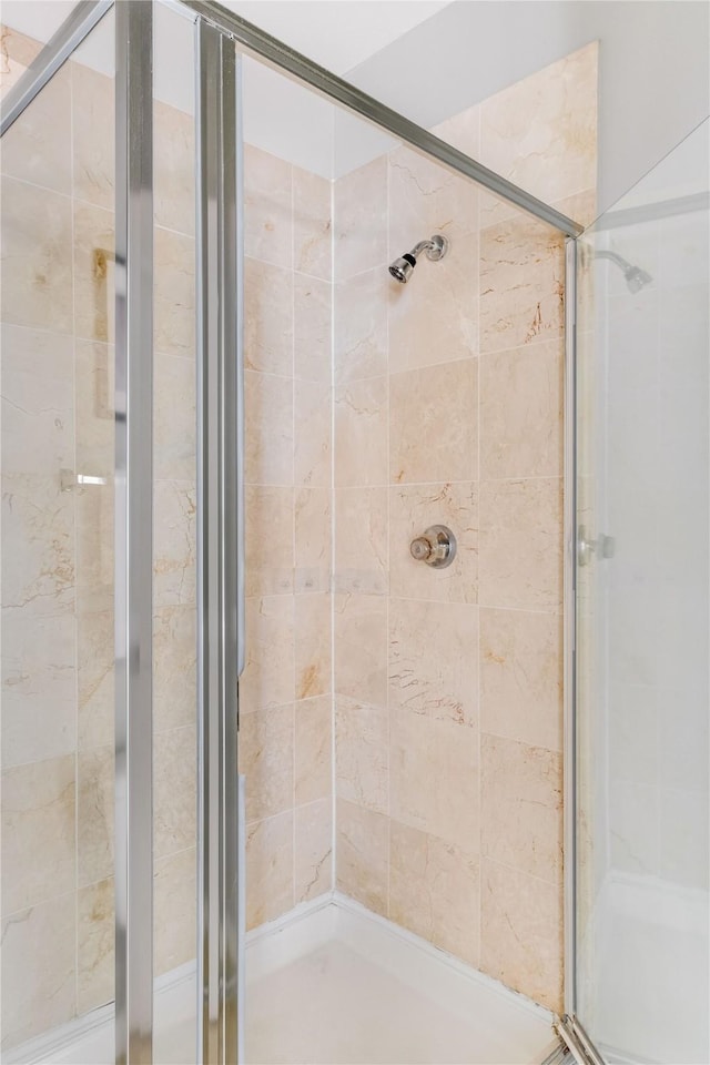 bathroom featuring a shower with shower door