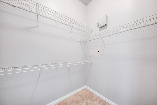 spacious closet with carpet floors and electric panel