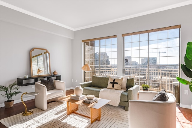 living room featuring ornamental molding and light hardwood / wood-style flooring