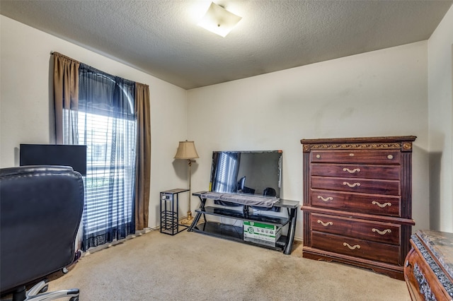 office space with a textured ceiling and light colored carpet