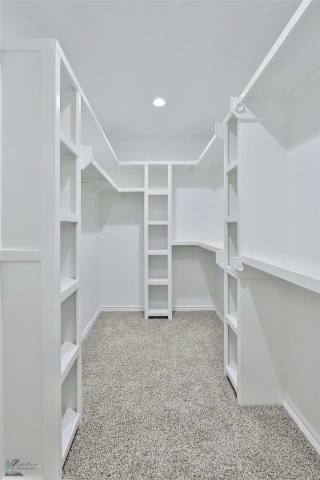 walk in closet featuring carpet flooring