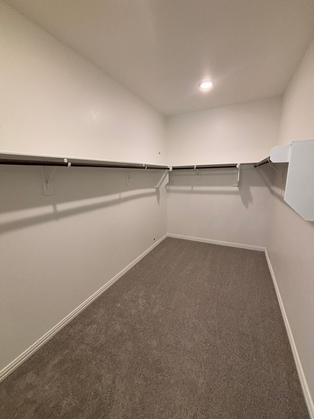 spacious closet featuring dark colored carpet