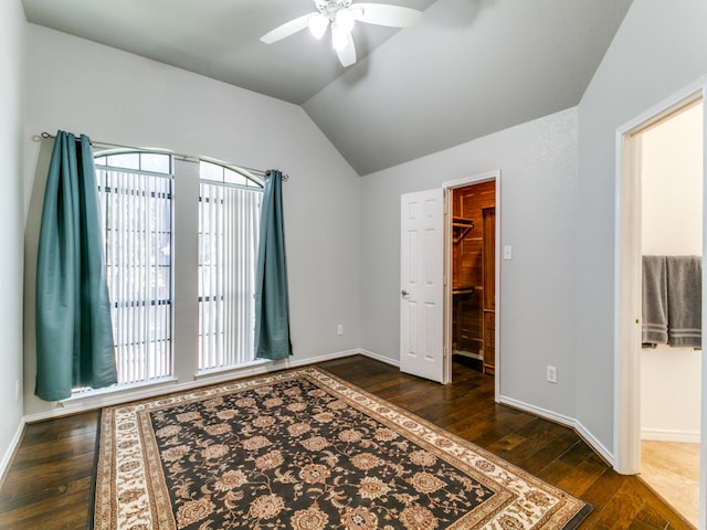 bedroom featuring dark wood-type flooring, ceiling fan, multiple windows, a spacious closet, and a closet