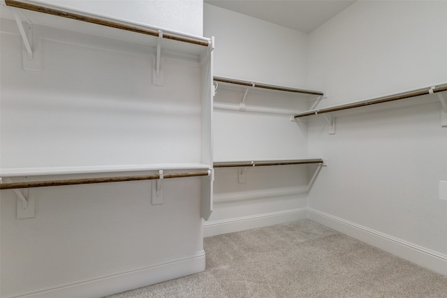 spacious closet featuring light carpet