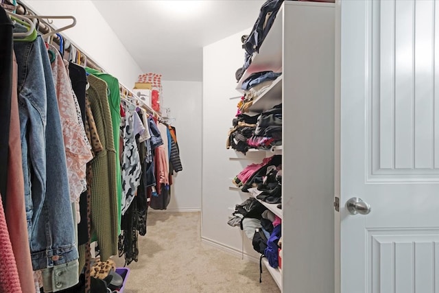 walk in closet featuring light colored carpet