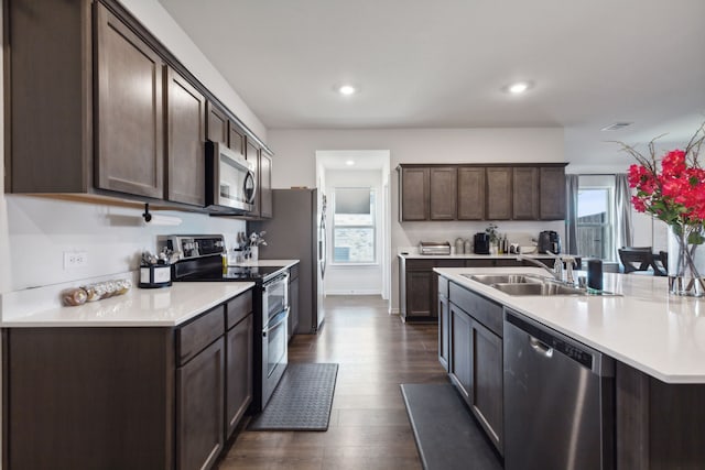 kitchen featuring dark brown cabinetry, stainless steel appliances, dark wood-type flooring, and sink