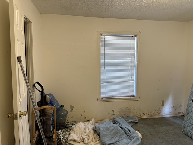 interior space featuring a textured ceiling