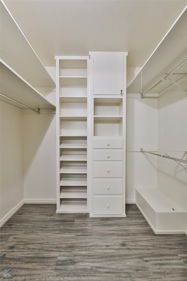 spacious closet featuring dark hardwood / wood-style flooring