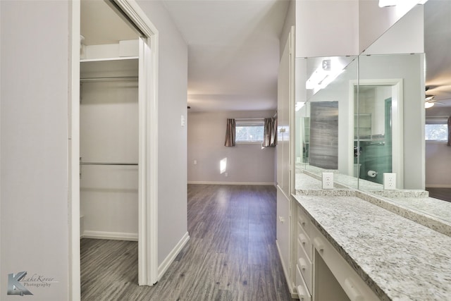 bathroom featuring ceiling fan, vanity, and wood-type flooring