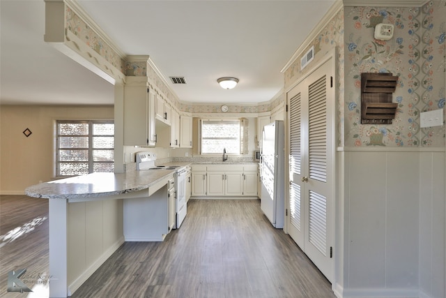 kitchen with kitchen peninsula, dark wood-type flooring, a healthy amount of sunlight, and white appliances