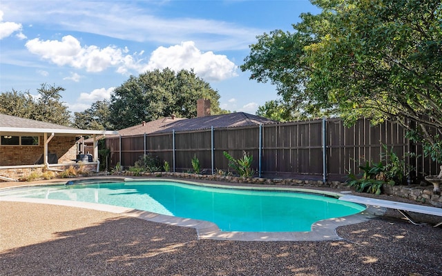 view of pool with a diving board