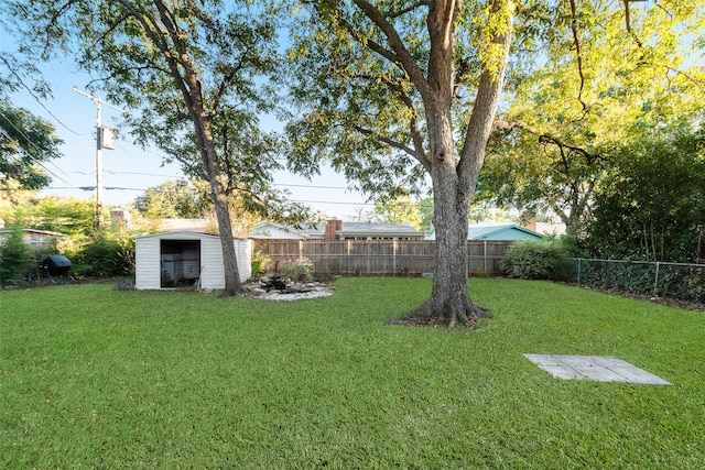 view of yard with a storage shed