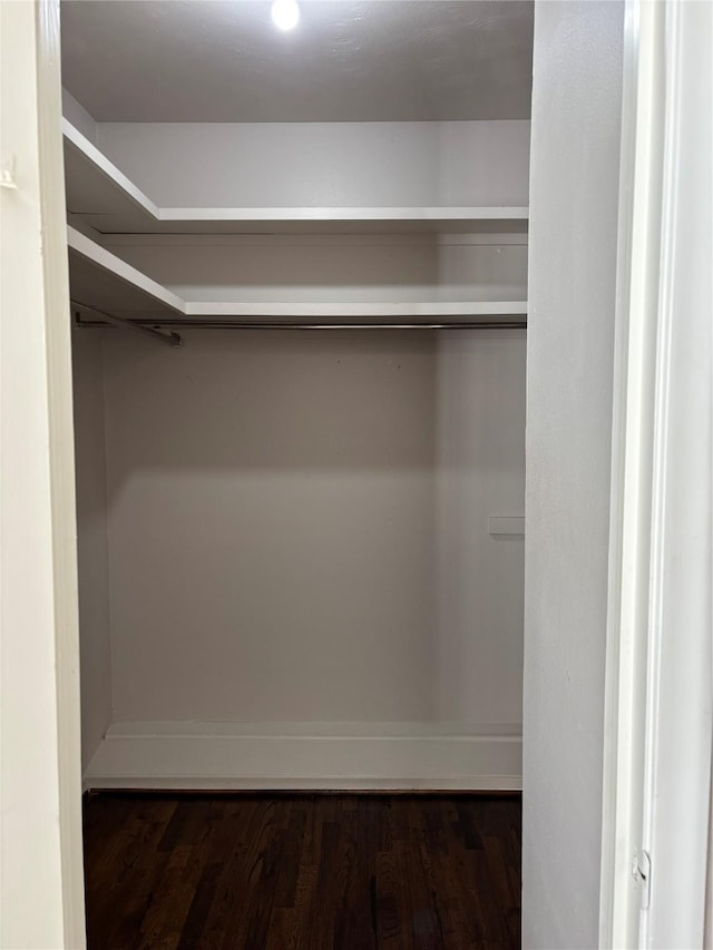 spacious closet featuring dark wood-type flooring