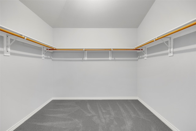 walk in closet with carpet