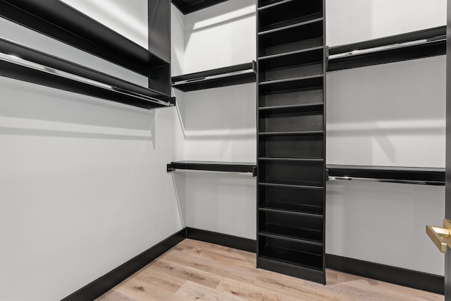 spacious closet featuring light hardwood / wood-style flooring