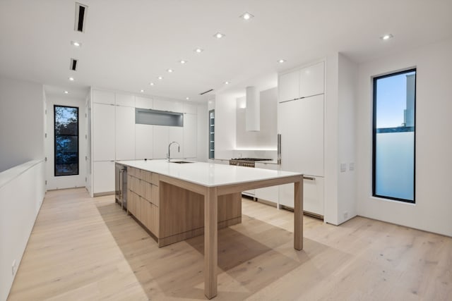 kitchen featuring white cabinets, a large island, sink, and light hardwood / wood-style flooring