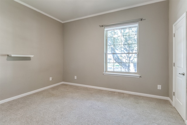 empty room featuring light colored carpet and crown molding