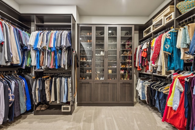 spacious closet with light colored carpet