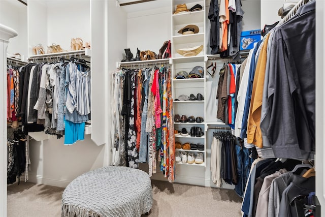 walk in closet featuring carpet floors