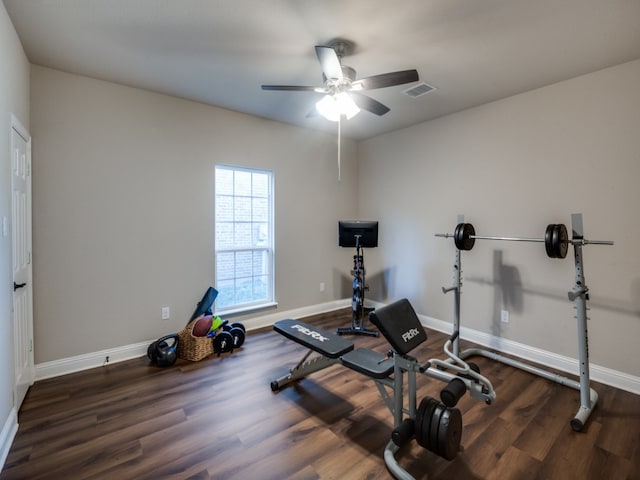 exercise room featuring ceiling fan and dark wood-type flooring