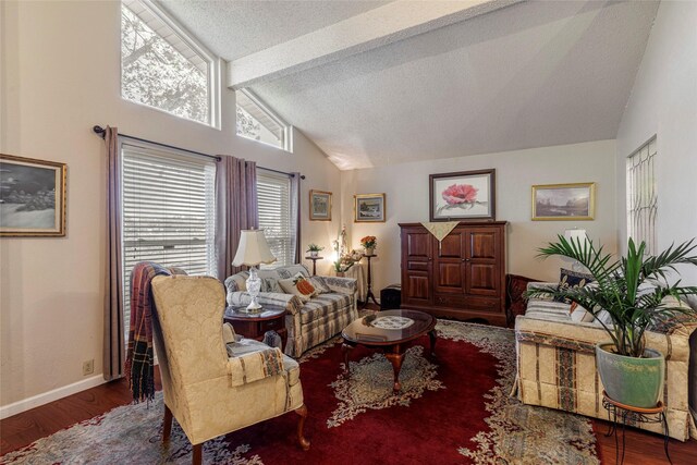 living room with a textured ceiling, lofted ceiling with beams, and dark hardwood / wood-style floors