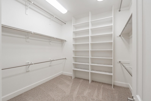 spacious closet with carpet flooring