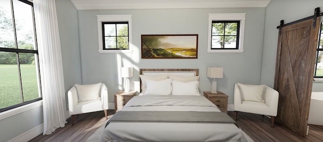 bedroom with dark hardwood / wood-style floors, a barn door, and multiple windows