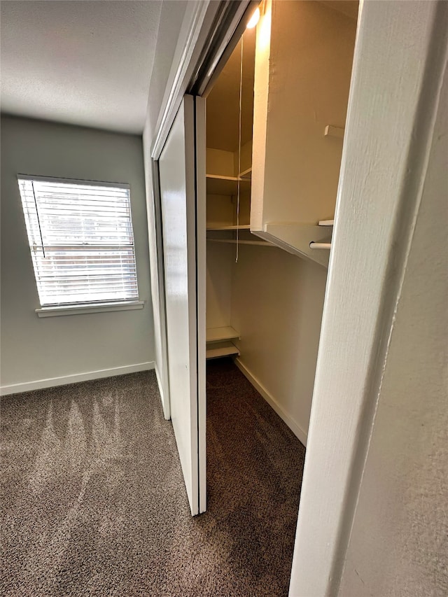 spacious closet with carpet