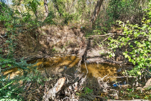 view of landscape featuring a water view