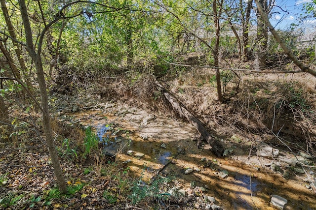 view of landscape